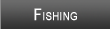 Fontana Lake Fishing